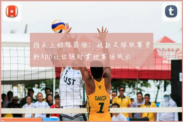 指尖上的绿茵场：这款足球联赛资料App让你随时掌控赛场风云